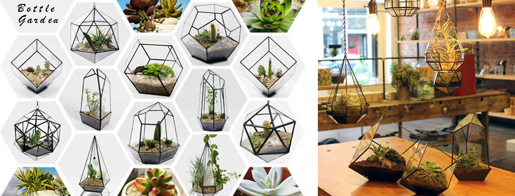 Glass Planters