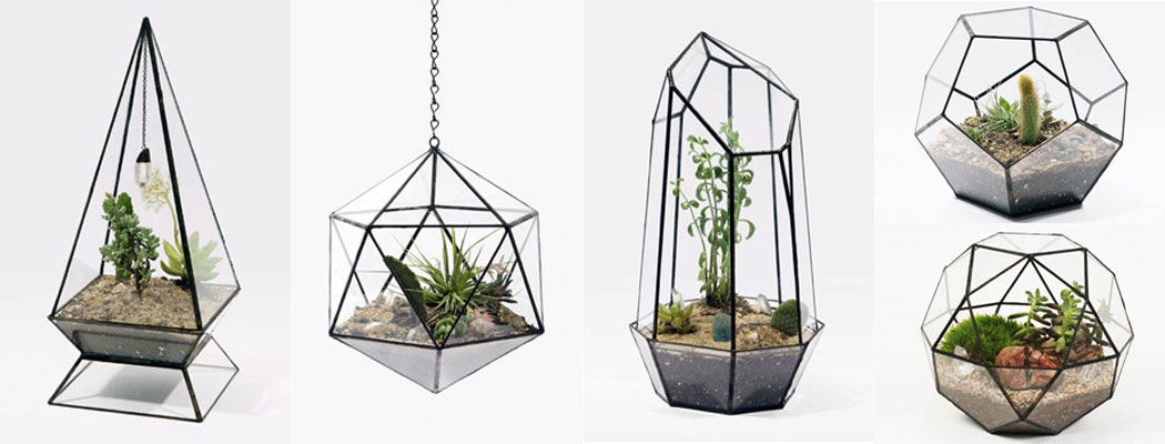 Geometric Terrariums