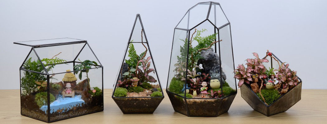 Faceted Terrariums