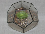 YNGT-01 Terrarium géométrique (Jardinière suspendue en verre)