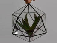 YNGT-13 Geometrisch terrarium (Terrarium voor planten)