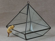 YNGT-15 Terrarium géométrique (Jardinière suspendue en verre)