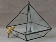 YNGT-15 Geometrisch terrarium (Terrarium voor planten)