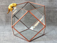 YNGT-16 Terrarium géométrique (Jardinière suspendue en verre)