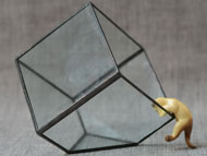 YNGT-02 Terrarium géométrique (Jardinière suspendue en verre)