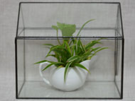 YNGT-24 Geometrisch terrarium (Terrarium voor planten)