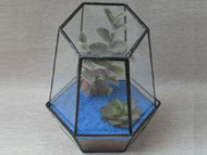 YNGT-33 Terrarium géométrique (Jardinière suspendue en verre)