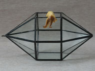 YNGT-37 Terrarium géométrique (Jardinière suspendue en verre)