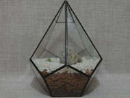 YNGT-04 Geometrisch terrarium (Terrarium voor planten)