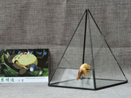 YNGT-05 Geometrisch terrarium (Terrarium voor planten)