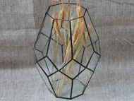 YNGT-09 Terrarium géométrique (Jardinière suspendue en verre)