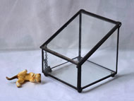 YNGT-08 Cajas de vidrio y Caja de cristal