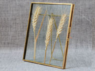 YNGT-05 Soldered Glass Picture Frame